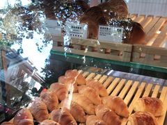-WHEN PIGS FLY当猪飞
