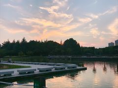 -白塘生态植物园