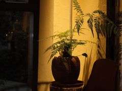 -邊渡咖啡
