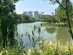 -青枫公园