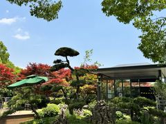 -上海鲜花港