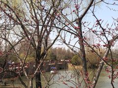 -上海滨江森林公园