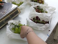 -美家乐农庄·露营·团建(大治路店)