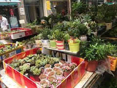 -曲阳花鸟市场(曲阳路店)