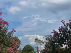 -武汉紫薇都市田园