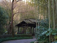 -法云安缦酒店