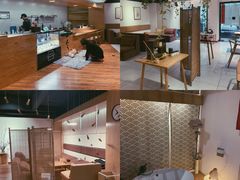 -柴务处·柴犬主题狗咖