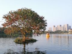 -洋湖国家湿地公园