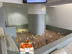 -BabyMonster小怪兽亲子派对·餐厅乐园(金月湾店)