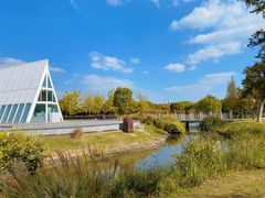 -西山漾湿地公园