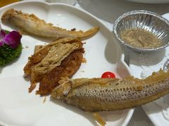 -金米箩大酒店(五角场店)