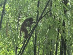 -丁家脆哨(民生路店)