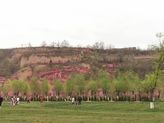 -渭南桃花源民俗文化园