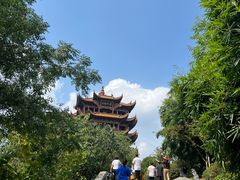 -黄鹤楼公园(黄鹤楼)