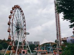 游乐设施-成都欢乐谷