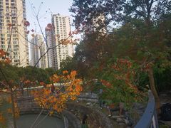 -苏州河梦清园环保主题公园