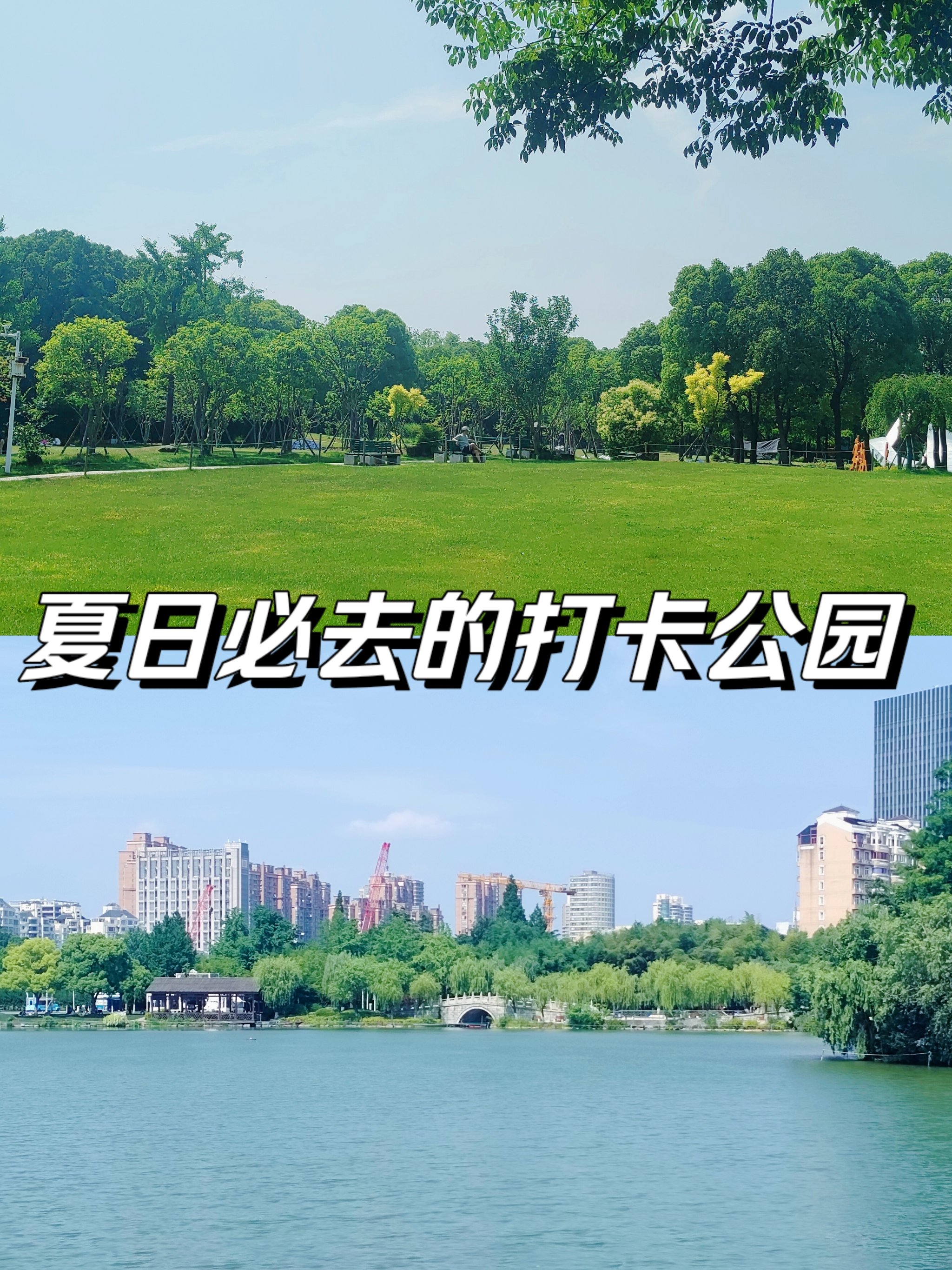 夏日公园结局图片