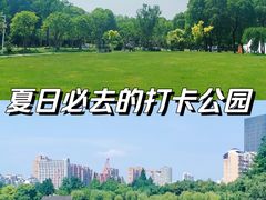 -大宁公园