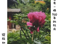-龙华寺