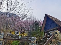 -幽岚山·童话森林