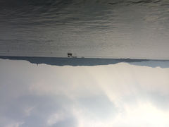 iphone_upload_pic-杭州西湖仁和饭店(湖滨银泰in77店)