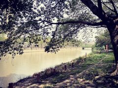 -成都市活水公园