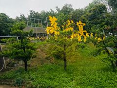 -荔城生鲜盛宴(番禺旗舰店)