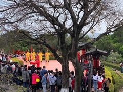 -胡里山炮台