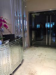 -TADASHI SHOJI(中国旗舰店)