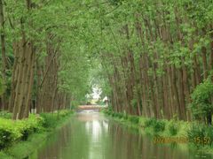 -合肥滨湖国家森林公园