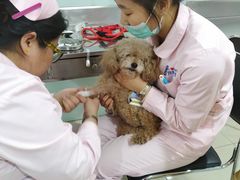 -宠颐生中康贝怡动物医院