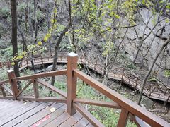 -大岭沟猕猴桃谷风景区
