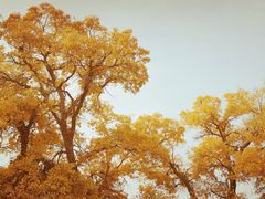 -敦煌莫高国际机场