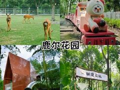 -老鼎万春卤菜(五代传承创始老店)