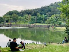 -王借岗森林公园