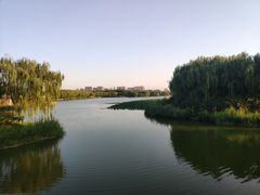 -大兴滨河森林公园