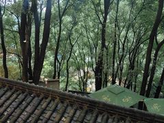 -巴倒烫陆派火锅山庄(南山总店)