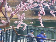 -安定门(地铁站)