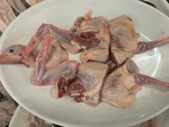 老鸽-荔城生鲜盛宴(番禺旗舰店)