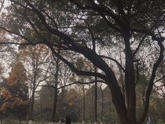 -杭州植物园
