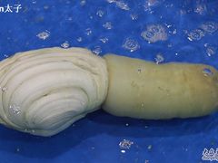 象拔蚌-神洲四海大酒楼(王府井澳门中心店)