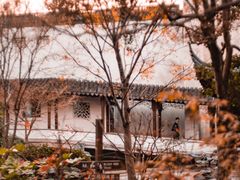 -秋霞圃