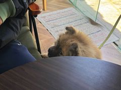 -铁炉咖啡(河下古镇店)