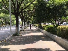 -小姜锅贴(凤凰街店)