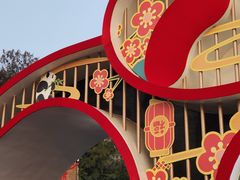 -邓氏兔头