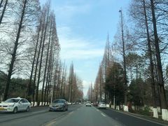 -太阳湾风景区