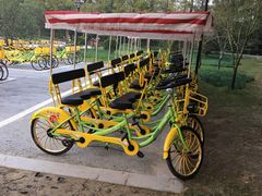 -黄海国家森林公园