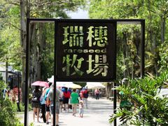 -瑞穗牧场