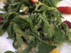 南极冰草-金百万烤鸭店(马甸店)