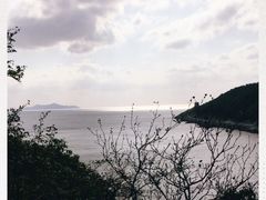 -花岙岛